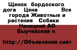 Щенок  бордоского  дога. › Цена ­ 60 000 - Все города Животные и растения » Собаки   . Ненецкий АО,Выучейский п.